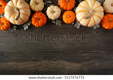 Fall top border of colorful pumpkins and silver leaves against a dark wood background with copy space