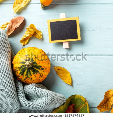 Autumn pumpkin thanksgiving background, assorted pumpkins over blue turquoise wooden table. Halloween flat lay with copy space. Top view.