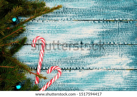 Christmas texture on a blue wooden background  candy canes  by spruce branches. 