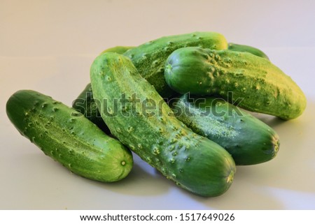 Home garden cucumber harvest and interesting pictures