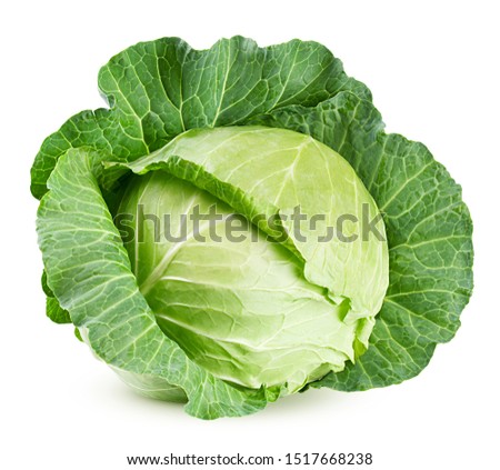 cabbage isolated on white background, clipping path, full depth of field Royalty-Free Stock Photo #1517668238