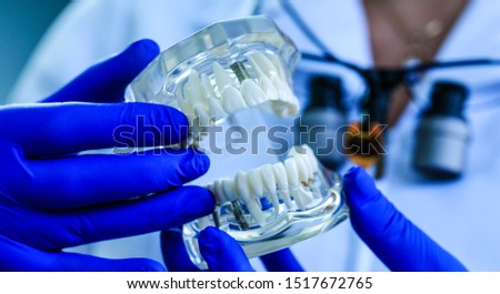 Teeth model holding by real doctor in dentistry clinic. Tooth restoration. Oral care and orthodontic treatment on background of clinic laboratory. Denture specialist presents jaw at university course.
