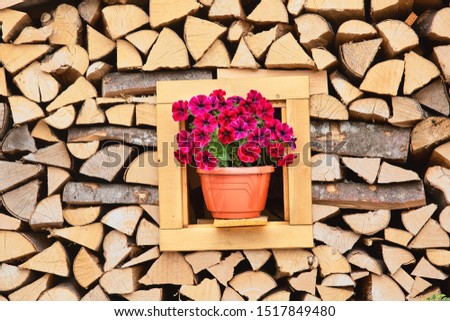 Pile of fiire wood, rural vintage background, flowers in the pot in the middle
