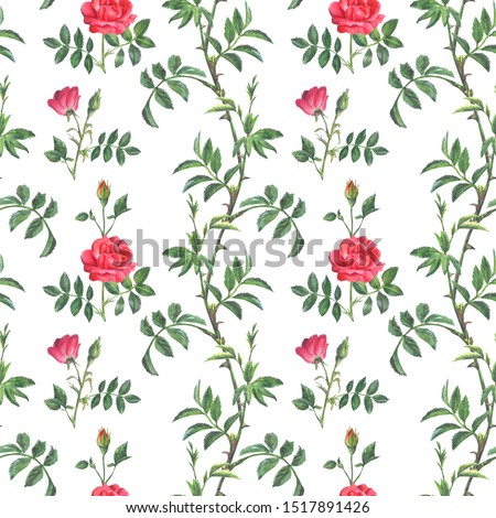 Beautiful bright pattern from a branch of a red rose with buds and green leaves on a white background. Realistic watercolor botanical illustration. For backgrounds, packaging, textiles, wallpapers
