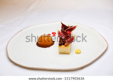 Hot chesse cake with mango sorbet and fruits on white background