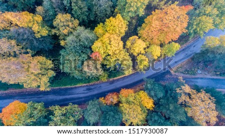Colorful foliage in the autumn park. Autumn Landscape