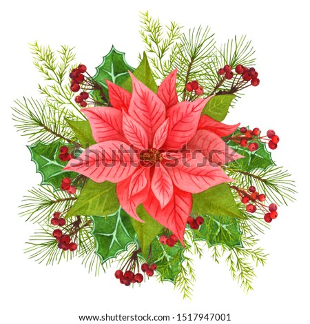Hand painted traditional christmas star and winter plants: holly, berries and fir branch isolated on white background. Watercolor poinsettia with Christmas floral decor.
