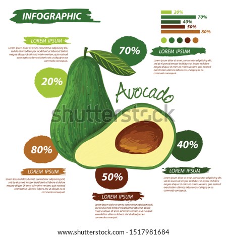 Avocado, fruit doodle drawings. Infographic template vector illustration.