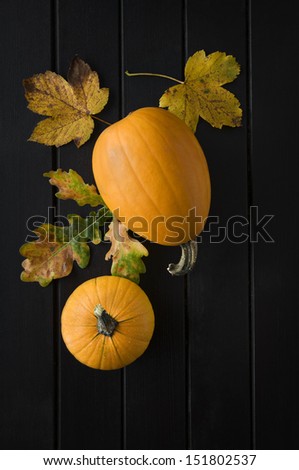 Pumpkin with leaves on dark wooden background