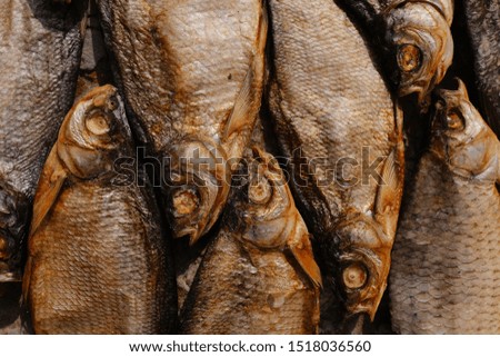 conceptual flat background of dried fish. vobla. dried fish. close-up