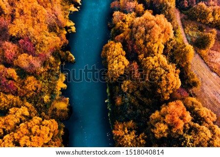 Drone aerial countryside river in autumnt forest. Birds eye view