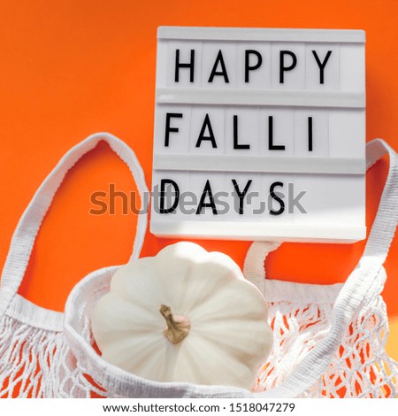 Autumn flat lay composition with white pumpkins in mesh shopping bag on bold orange color background. Creative autumn, thanksgiving, fall, halloween concept in zero waste style. Top view, copy space