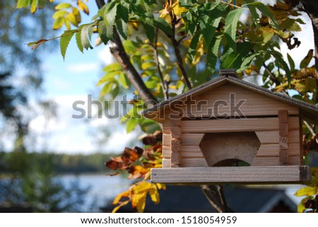 Wooden bird feeder. In the blurred background are visible pond and forest. Autumn.