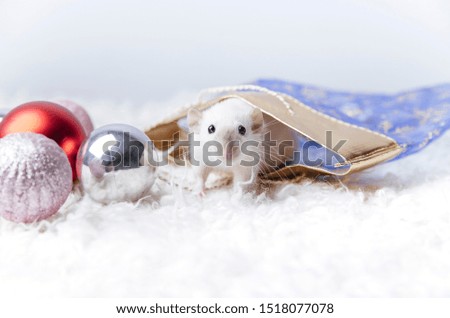 Happy New Year! The symbol Of the new year 2020 is the white rat. Cute rat and Christmas ball