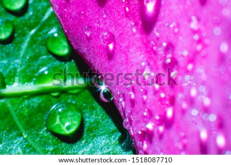 Picture of water droplets on a green and pink background, focal point with white reflections