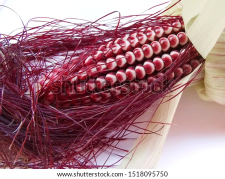 Siam Ruby Queen or Red corn of Thailand is a type of sweet corn. Red corn's kernels are stained with hues of ruby, Can be eaten fresh. The taste is sweet and crisp.with clipping path  