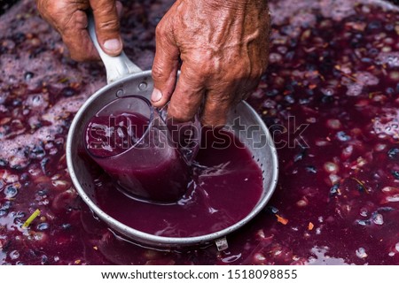 Winemaker's hand with a glass mug, picking up juice from grape must. Wine material, stum, maun. Technology of wine production in Moldova. The folk tradition of making wine. Royalty-Free Stock Photo #1518098855