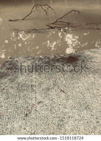 Cement floor next to the river