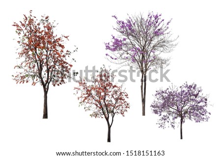 Collection tree isolated on white background Royalty-Free Stock Photo #1518151163