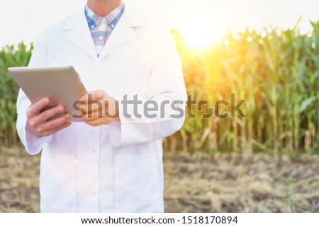 Crop scientist using digital tablet against corn field with yellow lens flare