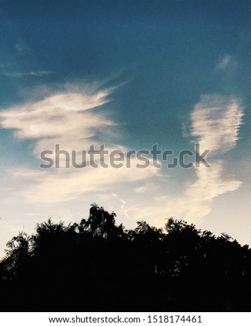 Dove Cloud Symbols in The Blue Sky 
