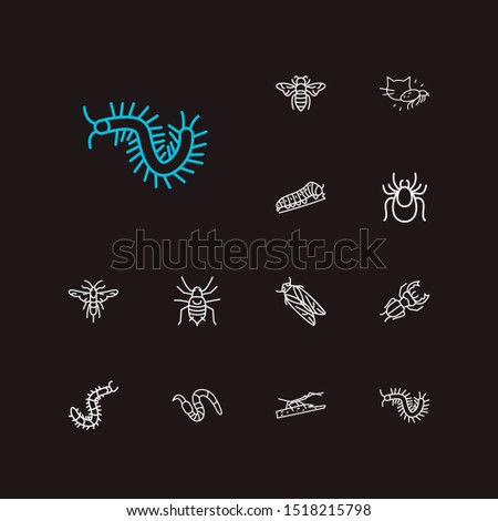 Beetle icons set. Bee and beetle icons with pest, stickbug and millipede. Set of exterminator for web app logo UI design