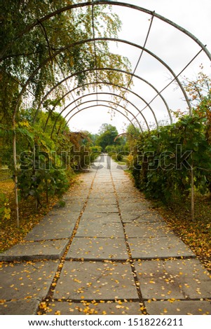 Beautiful city park in Chisinau, Moldova. Botanical Garden in autumn. Park in autum in Europe.
