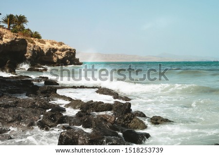 Dominican Republic Turquoise Beach, Rocks, Palms and The Blue Sky
