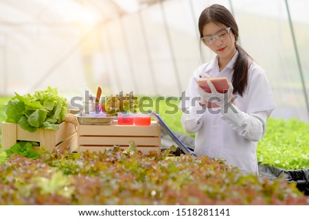 biochemist working in examine on plants and vegetable in organics hydroponics farm