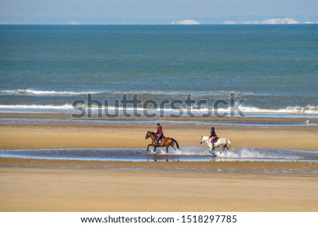 horses galloping on the beach