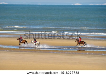horses galloping on the beach