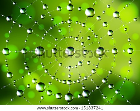 Background of the spider web with dew drops. Raster copy of vector illustration 