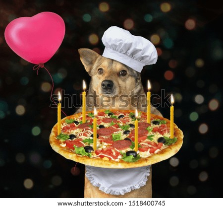 The dog cook in a chef hat and apron holds the with six burning candles and a pink heart shaped balloon at the party.