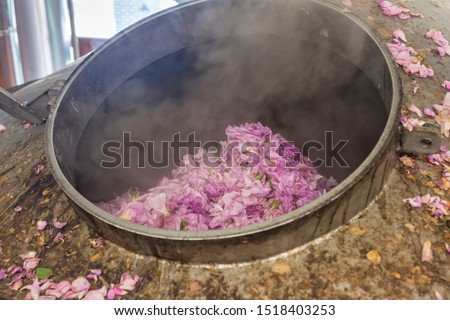 Distillery of rose oil. Pink rosa damascena flowers putted into distiller for distillation rose oil. Industrial concept. Royalty-Free Stock Photo #1518403253