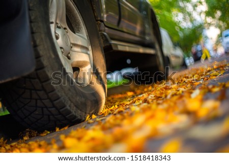 Car in a parking lot, rear wheel close up. Fallen leaves of trees on asphalt. Autumn background