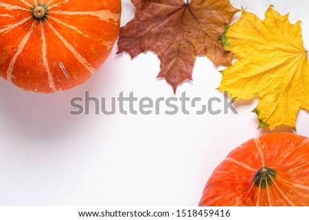 Pumpkins on a white background with autumn leaves. Top view. Copy space 