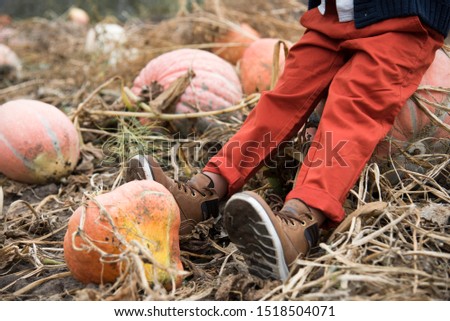 children's feet in boots on a pumpkin field. autumn image. Thanksgiving Day. 