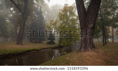 wonderful calm view of a clean autumn city public park with trees along a narrow rivulet and light morning fog in the background