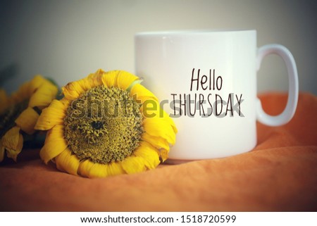 Hello Thursday greeting on a white mug of coffee. With sunflowers and orange color background. Morning coffee concept. Royalty-Free Stock Photo #1518720599