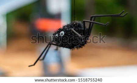 Halloween decorations of a black spider with jiggly eyes hanging from a string