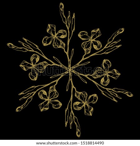 Isolated vector illustration. Round floral decor. Star made of wild flower branches. Gillyflower or carnation. Matthiola or clove. Hand drawn sketch. Gold silhouette on black.