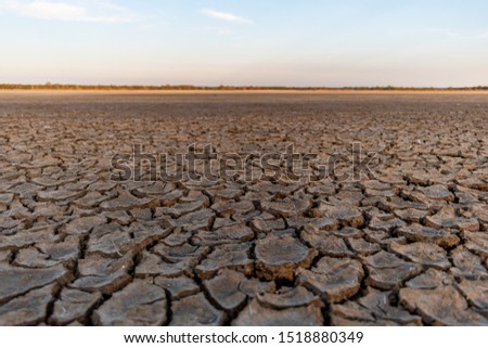 Dried lake in summer season Royalty-Free Stock Photo #1518880349
