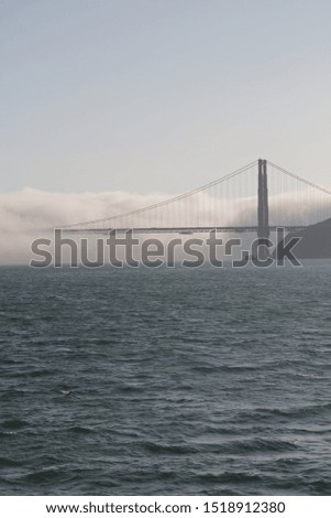   in USA san francisco the famous  golden bridge and the fog
