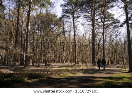 Couple Walking the dog in the woods