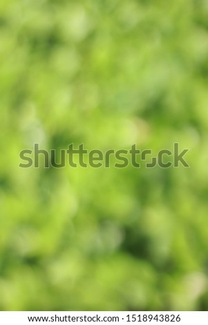 Vertical​ image​ Blurred​ defocused​ green​ and​ black​ tone in the nature of uneven surface​ background.
