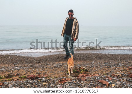 Yellow street cat playing with the legs of a man at the beach