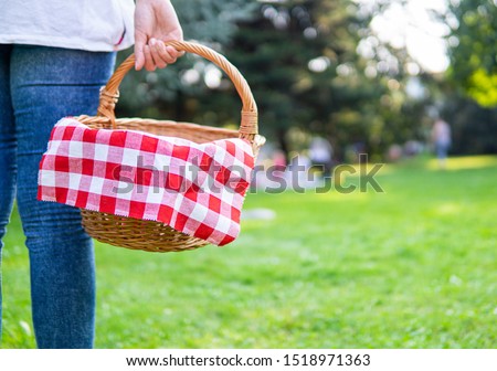 Woman at the park whit picnic basket with plaid tablecloth