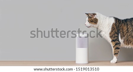 Cute tabby cat looking curious to a voice controlled smart speaker. Panoramic image with copy space.