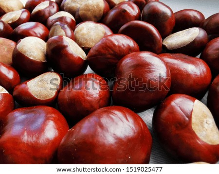 Ripe chestnuts close up, top view. Food background. Raw Chestnuts for Christmas. 