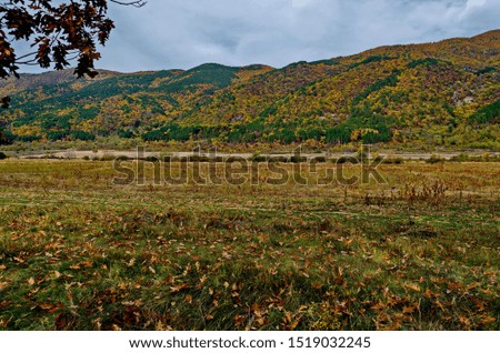 Colorful autumn   forest with coniferous and deciduous trees, road and glade in the Balkan mountain, near Kazanlak, Bulgaria 